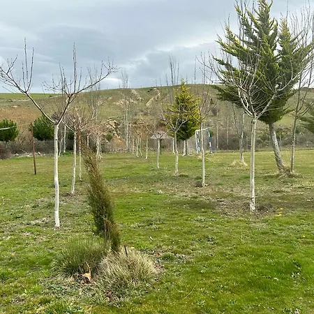 Vivienda De Uso Turistico La Vega De *